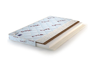 Evita Baby Perfect Style