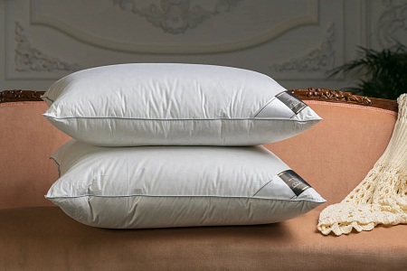 Подушка Trois Couronnes Royal Wild Duck Down Medium