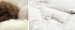 Одеяло Hefel Cashmere Wool GD