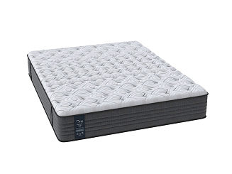 One Posture Plus Plush