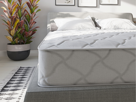 Evita Line Plus Contour