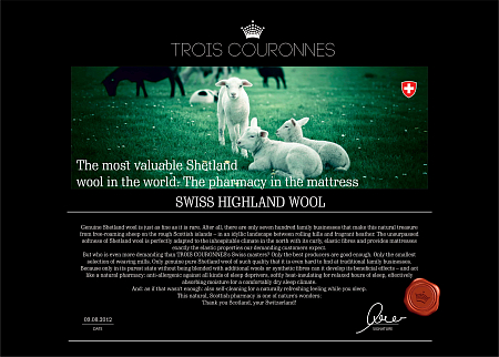 Trois Couronnes Sovereign Yearling