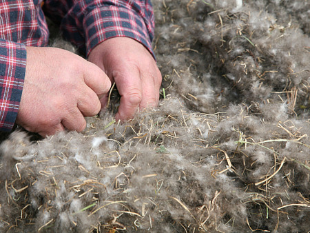 Одеяло Trois Couronnes Royal Eiderdown