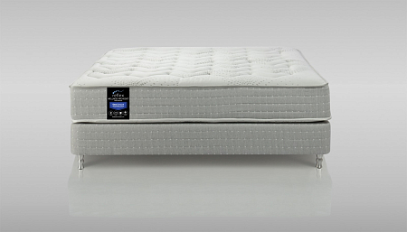 Reflex Wellness PRO 1000T