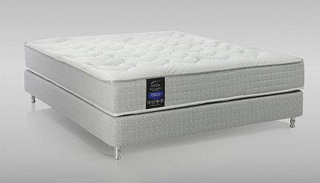 Reflex Wellness H3