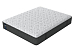 Sealy Posture Plus Plush Black Edition