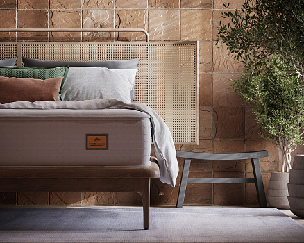 Trois Couronnes Sovereign Yearling