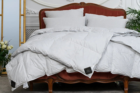 Одеяло Trois Couronnes Royal Wild Duck Down Light