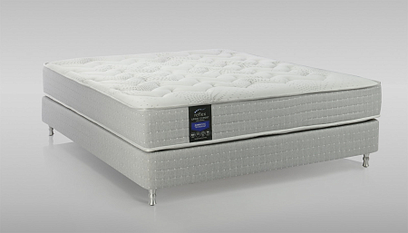 Reflex Spine Expert H4