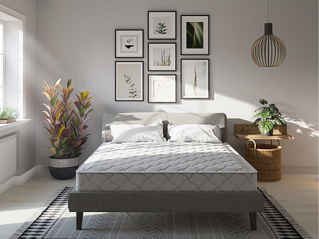 Evita Line Plus