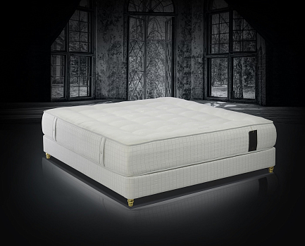 Trois Couronnes Sovereign Yearling