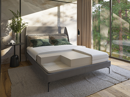 Evita Life Contour