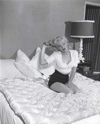 Одеяло Alfabed Fiori QQ 200