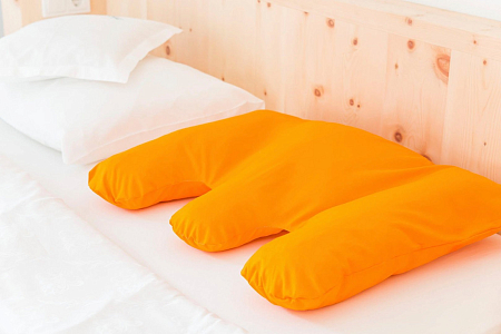 Подушка Trois Couronnes Spine Comfort Omni