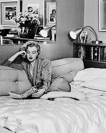 Одеяло Alfabed Fiori QQQ 600