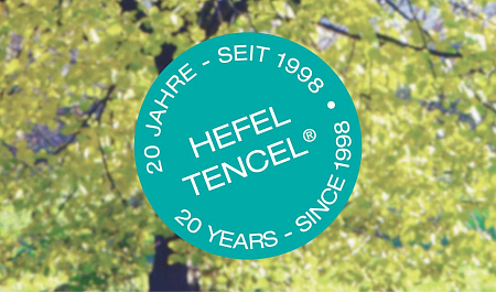 Одеяло Hefel Tencel Down SD