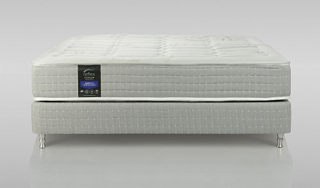 Reflex Ferum