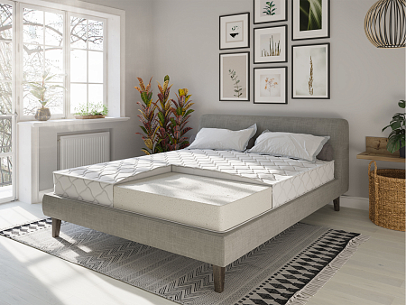 Evita Line Plus