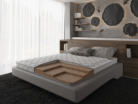 Evita Rigid