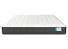 Sealy Posture Medium
