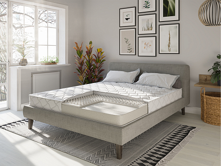 Evita Line Plus Contour