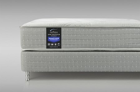 Reflex Spine Professor H2