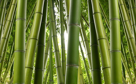 Одеяло Hefel Pure Bamboo SD