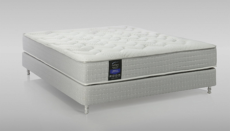 Reflex Radon R1