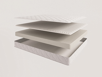 Evita Line Plus Contour