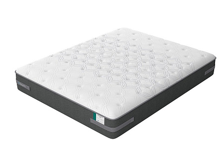 Sealy Posture Plus Firm