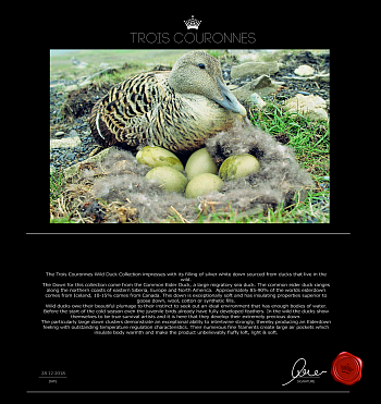 Подушка Trois Couronnes Royal Wild Duck Down PLUS
