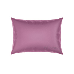 Pillow Case Royal Cotton Sateen Burgundy Standart 4/0