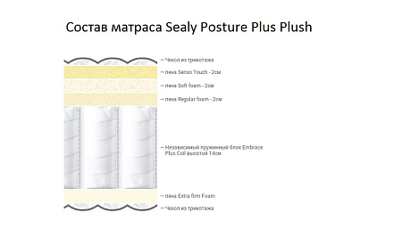 Sealy Posture Plus Plush