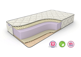 Dreamline Roll Massage Season Big