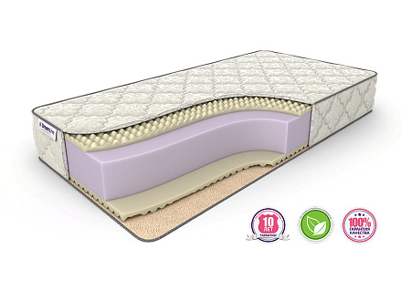 Dreamline Roll Massage Season Big