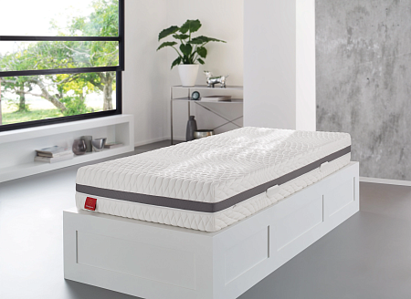 Brinkhaus Verona TTFK H2