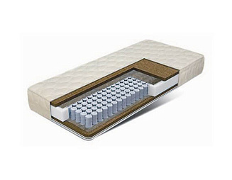 Flex Dream Base Reverse