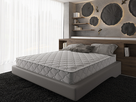 Evita Rigid