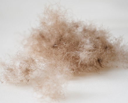 Одеяло Trois Couronnes Royal Eiderdown