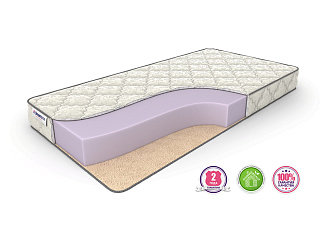 Dreamline Dream Roll season Max
