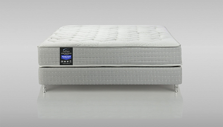 Reflex Spine Professor H3