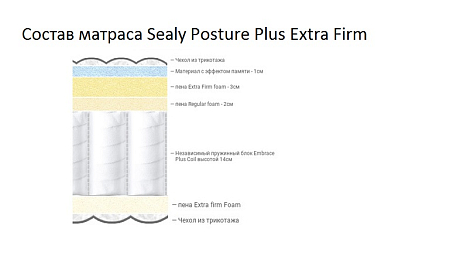 Sealy Posture Plus Extra Firm
