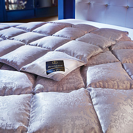 Одеяло Brinkhaus The Eider Extra Warm