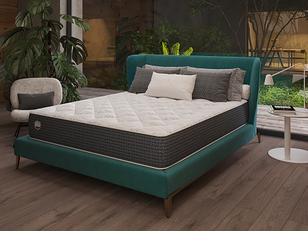 Alfabed Terra Soft Mini