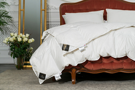 Одеяло Trois Couronnes Clima Night Down