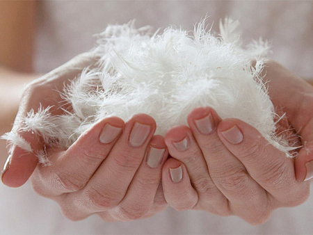 Одеяло Hefel Tencel Down SD