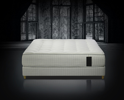 Trois Couronnes Sovereign Yearling