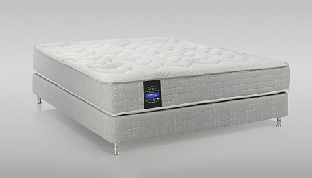 Reflex Spine Correct H4