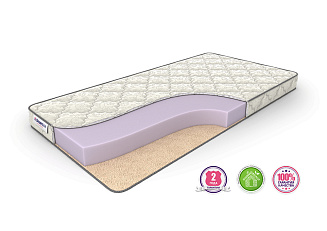 Dreamline Dream Roll season