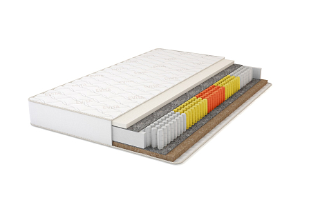 Evita Action Plus EVS1000